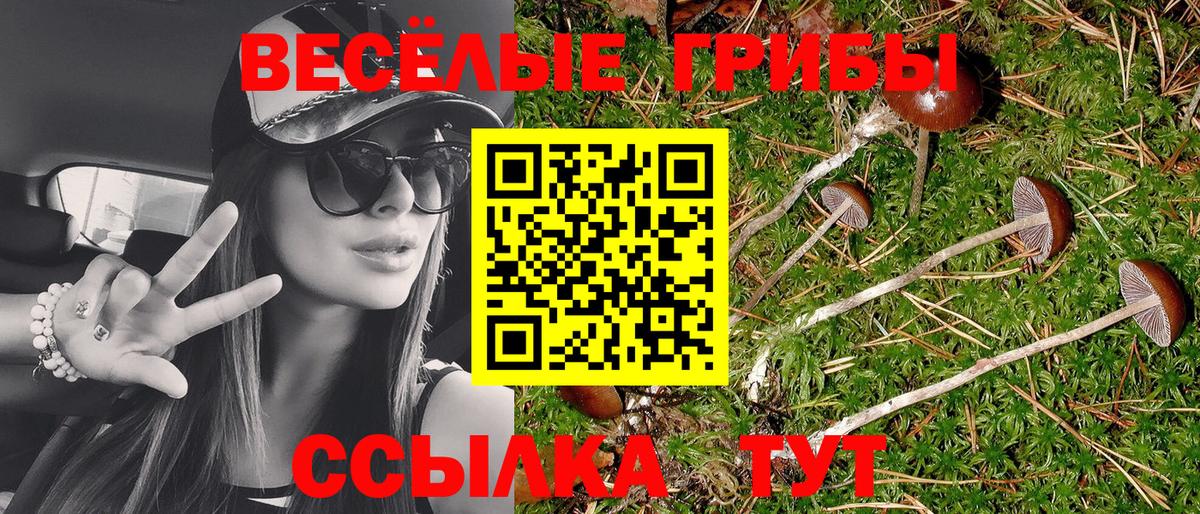 Галлюциногенные грибы Magic Shrooms Якутск