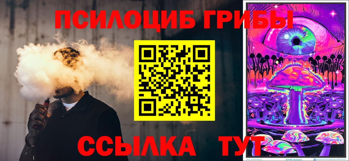 Псилоцибиновые грибы Cubensis  Вход с VPN  Якутск 