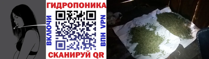 Марихуана план  ссылка на мегу tor  Якутск 